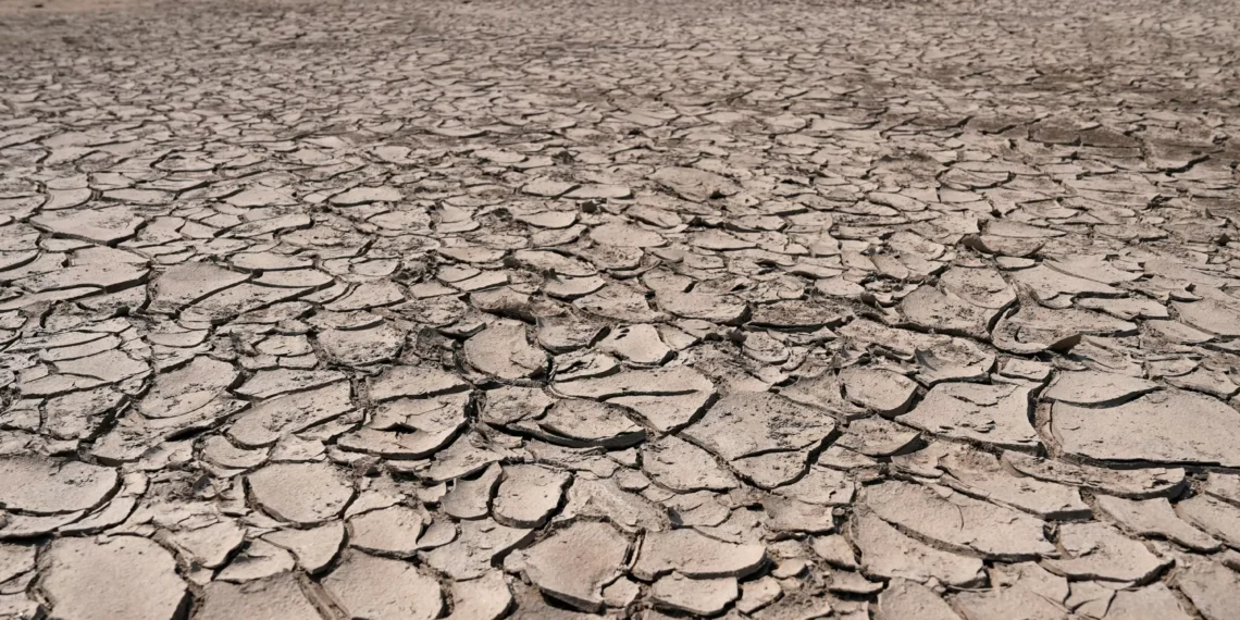 Unresolved water crises to endanger food production by 2050: Experts