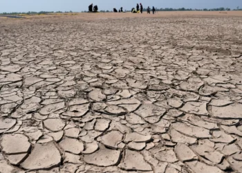 Unresolved water crises to endanger food production by 2050: Experts