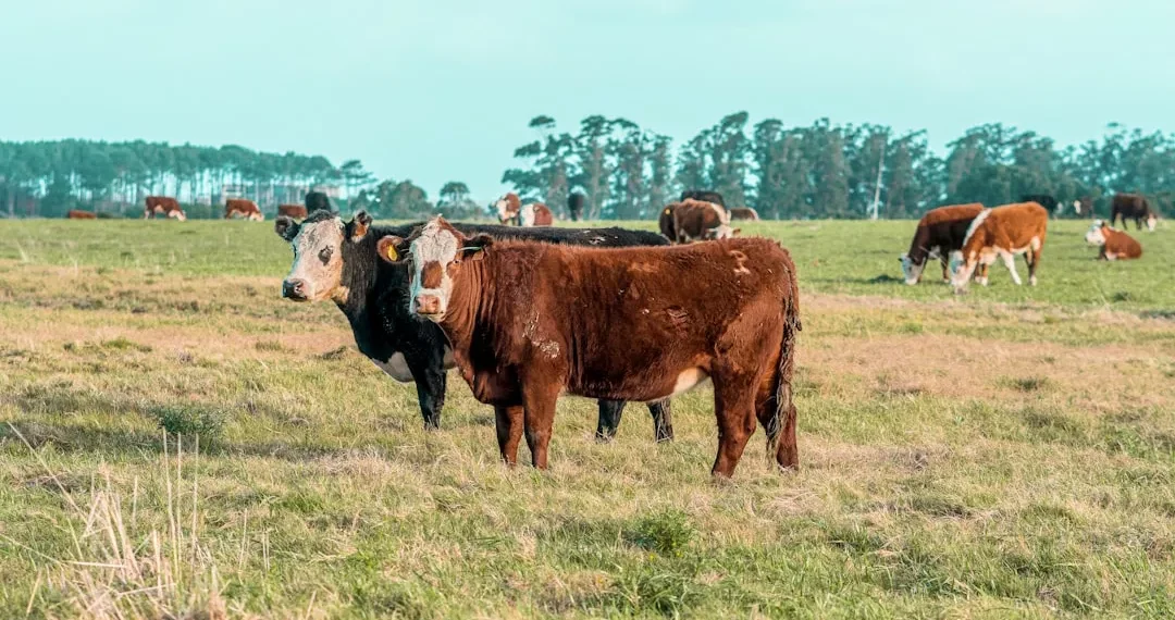 “The Growing Significance of Economics in a Changing World”