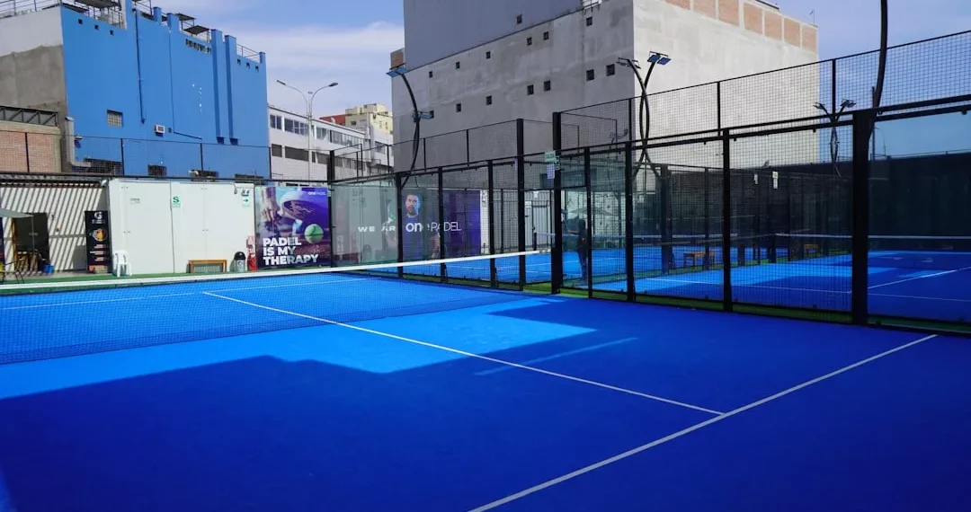 “The Enduring Impact of Sports on Human Culture”