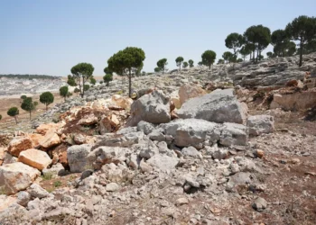 Daesh terrorists among 37 killed in US airstrikes across Syria