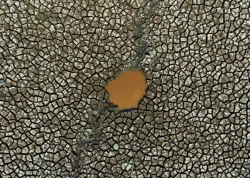 Climate change fuels extreme heat, food insecurity