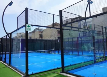 “The Vital Role of Sports in Our Lives”