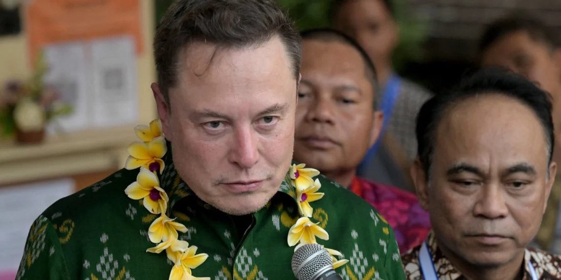 Elon Musk Is His Own Rogue Nation