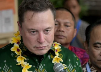 Elon Musk Is His Own Rogue Nation