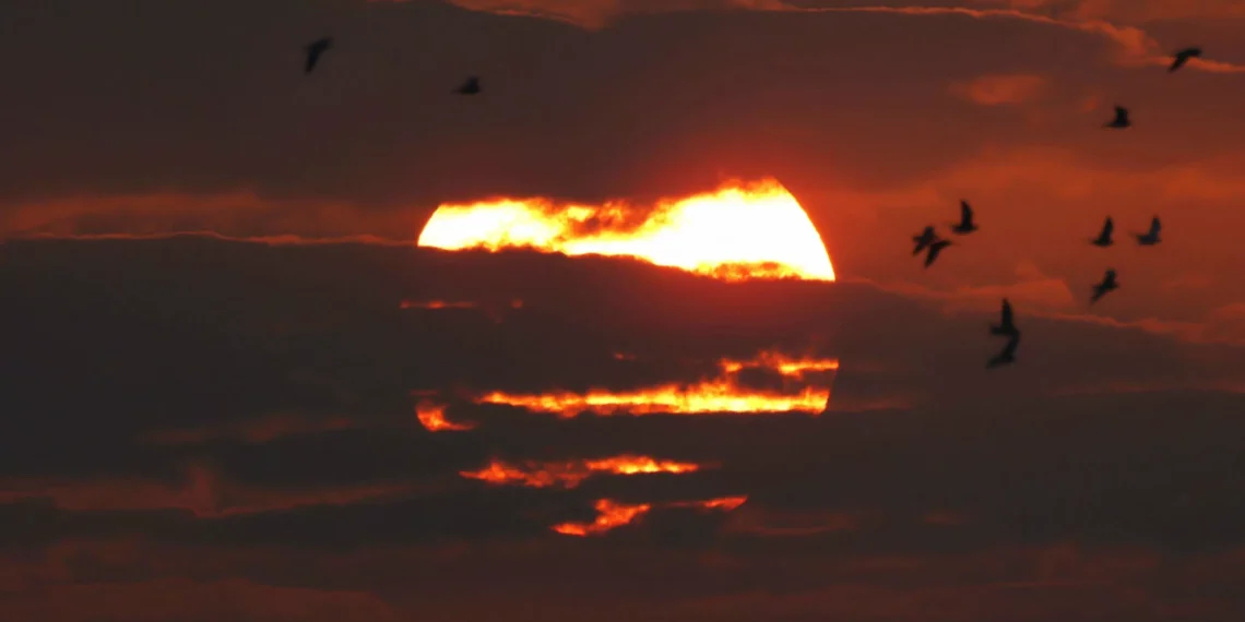 Climate expert warns: Greenhouse gas emissions hit record highs