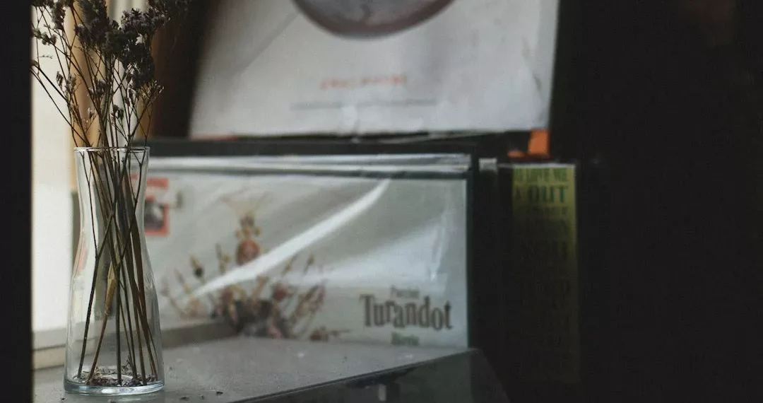 “Unleashing the Boundless Power of Music: A Universal Language”