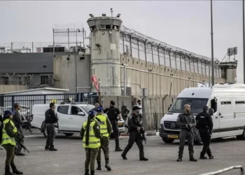 34 Gazan detainees released from prisons, bearing torture marks