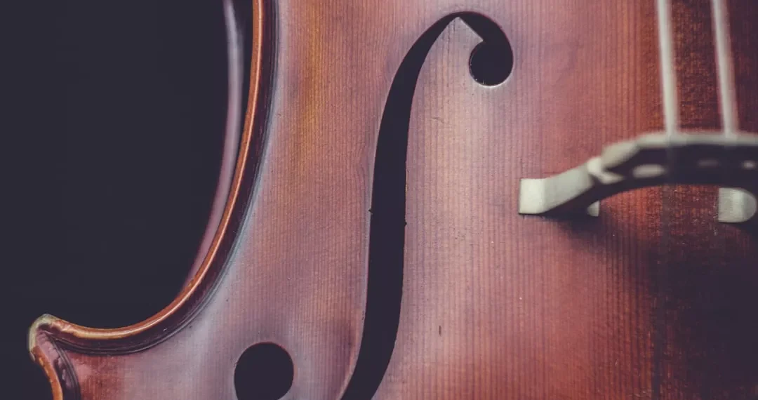 “The Timeless Power and Beauty of Música”