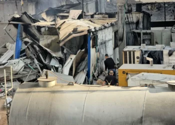 WHO tells Israel to free senior Gaza doctor, stop targeting hospitals