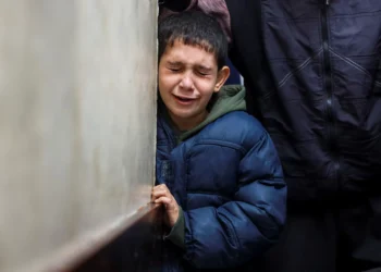 33 killed as Israel ignores UNGA calls to continue Gaza genocide