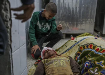 Israel ‘committing genocide’ against Palestinians in Gaza: Amnesty