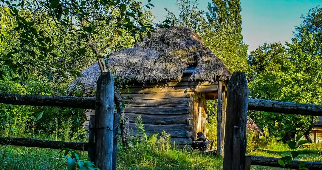 “The Power of Economics in Shaping Our World”