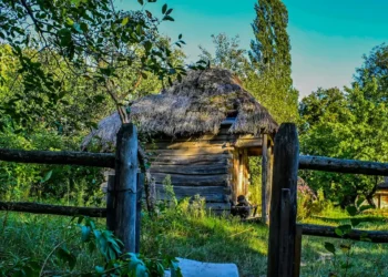 “The Power of Economics in Shaping Our World”