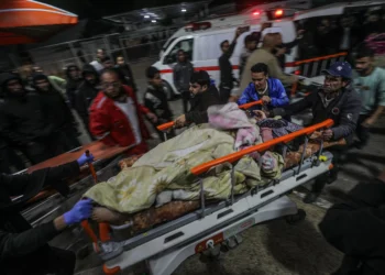 WHO to deliver 500-600 aid trucks to Gaza daily after cease-fire