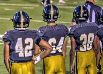 “The Enduring Impact of Sports on Human Culture”