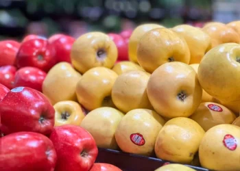 “The Power and Importance of Economics in Our World”