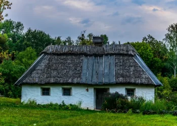 “The Impact of Economía on Daily Life”