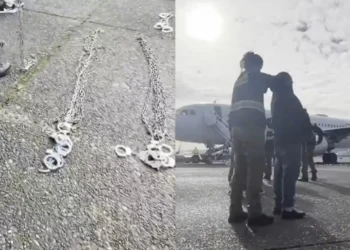 Trump and Musk Delight in the Sounds of Human Suffering With Sick “ASMR” Immigrant Video