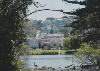 “The Importance of Art and Entertainment in Dail Life”