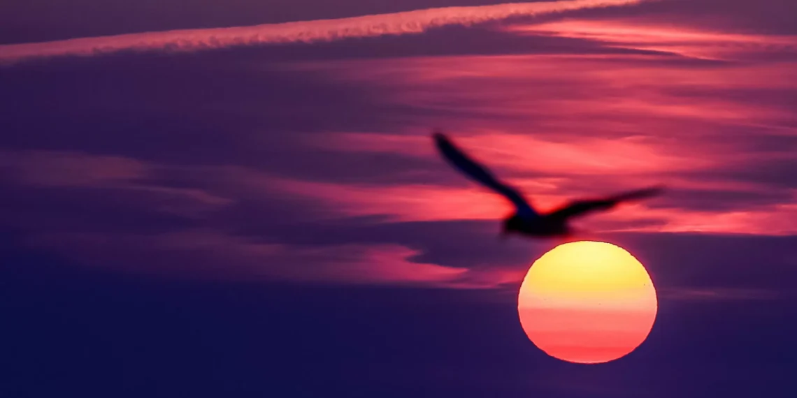 Europe faces record heat, extreme weather in 2024, UN report shows