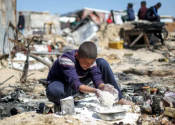 Gaza crumbles as aid system nears collapse amid Israel blockade