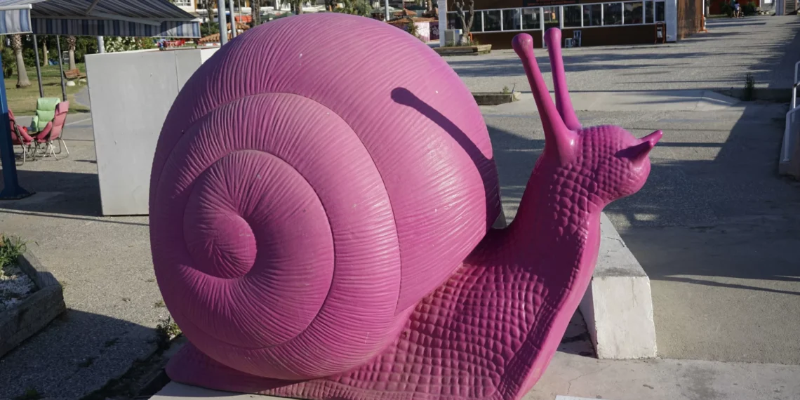 Journey of a snail: Embracing sustainable lifestyle in Cittaslow