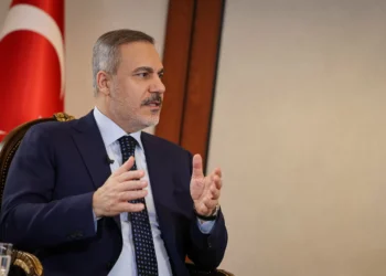 Turkish FM urges Iraq to fight PKK as it fought against Daesh