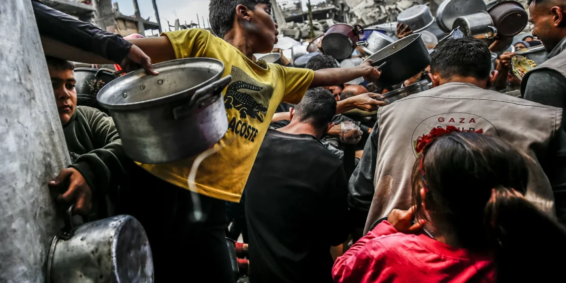 Palestine tells ICJ Israel using aid block as ‘weapon of war’ in Gaza