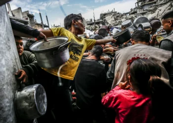 Palestine tells ICJ Israel using aid block as ‘weapon of war’ in Gaza