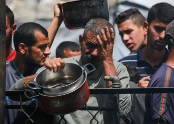 Gazan father scraping for food laments, ‘children are dying slowly’