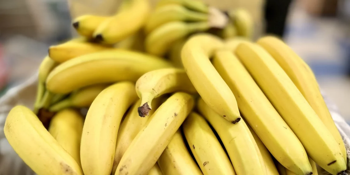 Bananas on brink: Climate change threatens global favorite