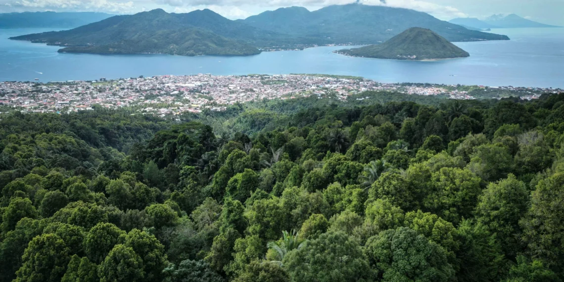 Indonesia’s clove industry on brink as climate change worsens