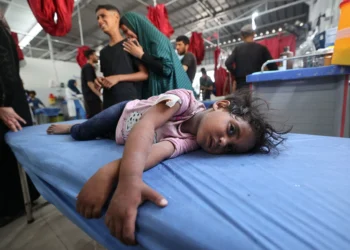 Ex-PM: Israel committing daily war crimes in Gaza, West Bank