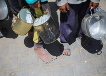Leading aid group shuts Gaza soup kitchens amid Israeli blockade
