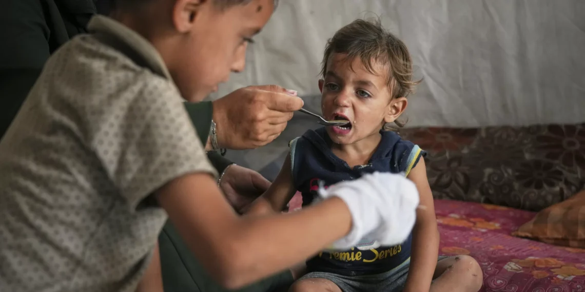 Aid workers in despair as Israeli blockade precedes Gaza famine