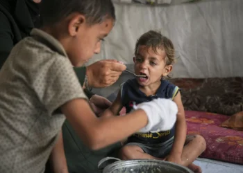 Aid workers in despair as Israeli blockade precedes Gaza famine