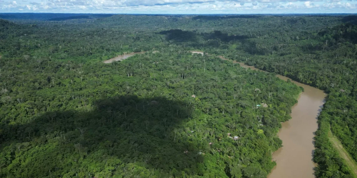 Amazon’s longest drought experiment reveals alarming forest decline