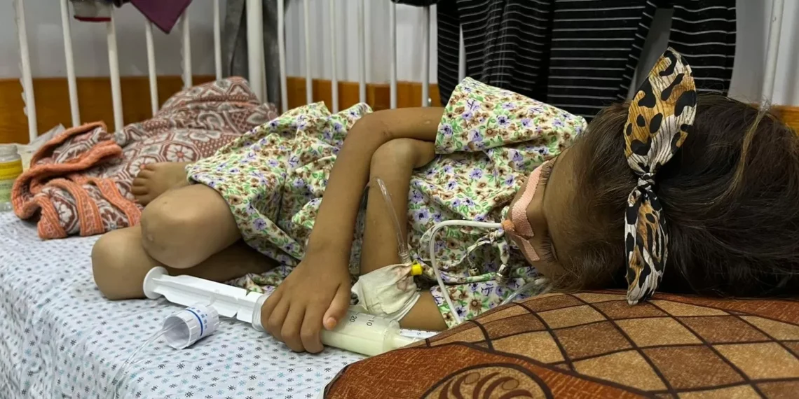 Children Are Starving in Gaza, as Soldiers Kill People Looking for Food