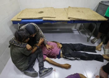 Israel slaughters 50 more aid seekers as Gaza bloodbath continues