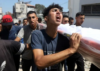 Israel kills 79 more across Gaza, continues to target aid seekers