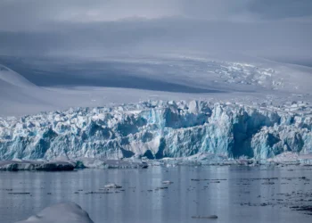 Greenland-sized sea ice lost in Antarctica, with no signs of return