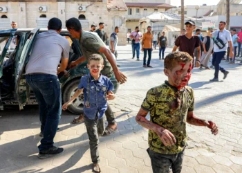 Israel’s war on Gaza ‘one of cruelest genocides in modern history’