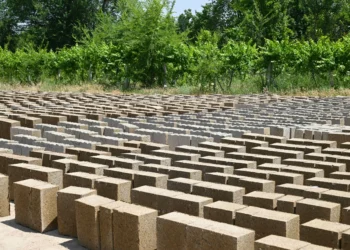 Earthy, affordable, eco-friendly: Allure of rice block homes