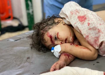 Hamas voices openness to Gaza truce, yet to accept Trump plan