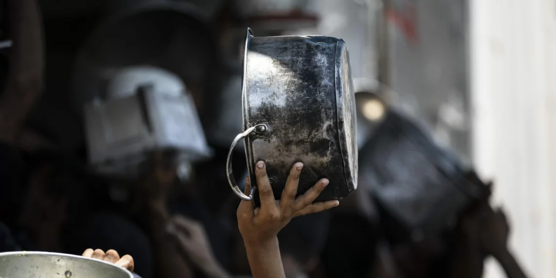 “Food Has Become a Memory”: My Hunger Diary in Gaza