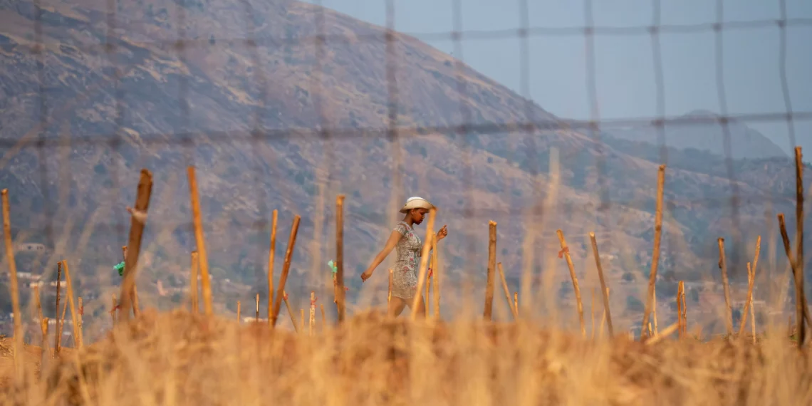 Trump Administration Deports Five Men to Eswatini, Expanding Global Gulag in Africa