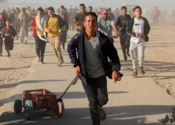 Casualties near GHF aid points overwhelming Gaza health system