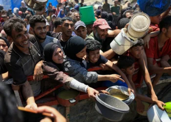 Aid groups sound alarm as Europe steps up amid Gaza hunger crisis