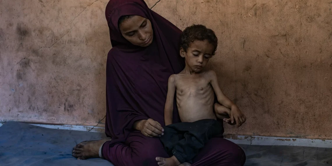 A third of Gaza population without food for several days: WFP